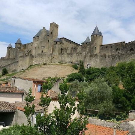 Face à la Cité une vue SUBLIME Carcassonne Exterior foto